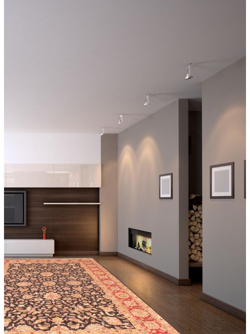 Indian Sultanabad 12'1" x 18'1" Hand-knotted Wool Rug 