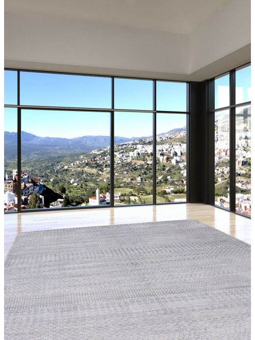 Indian Silk Shadow 8'11" x 11'10" Hand-knotted Viscose & Wool Rug 