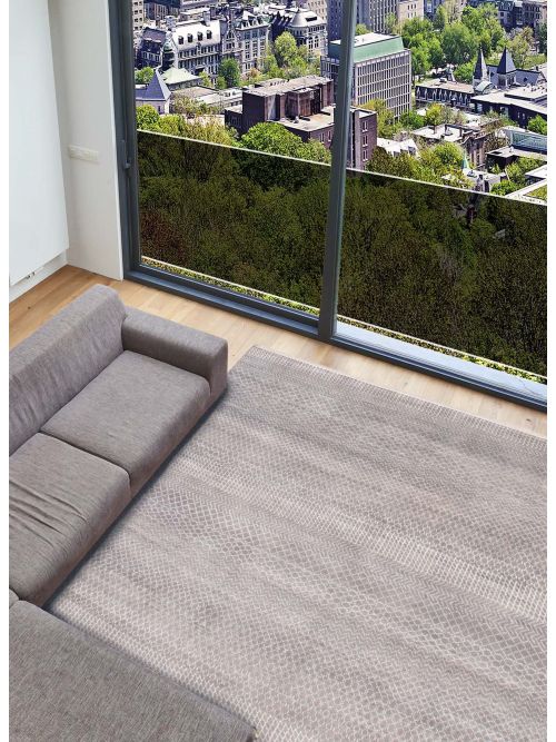 Indian Silk Shadow 8'0" x 10'0" Hand-knotted Viscose & Wool Rug 