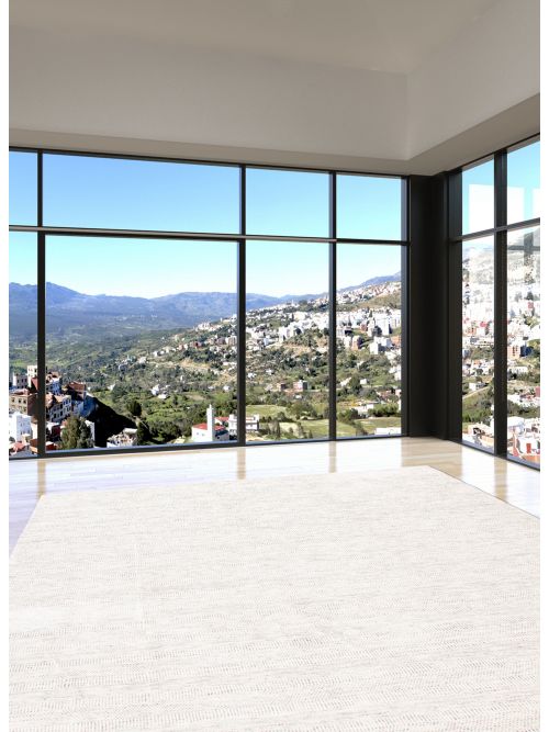 Indian Silk Shadow 9'1" x 12'0" Hand Loomed Viscose & Wool Rug 