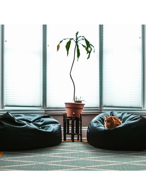 Indian Nevada 5'3" x 7'10" Flat-Weave Wool Kilim 