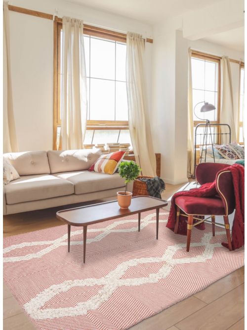 Indian Nevada 4'10" x 7'10" Flat-Weave Wool Kilim 