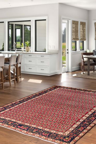 Persian Style 5'9" x 8'0" Hand-knotted Wool Rug 
