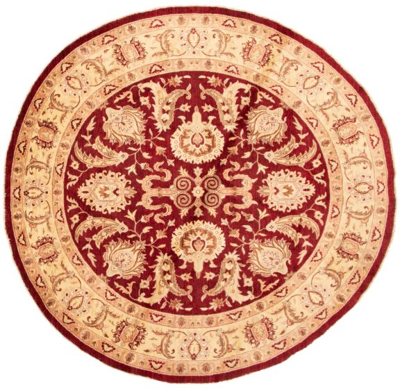 Afghan Chobi Finest 10'0" x 10'0" Hand-knotted Wool Rug 