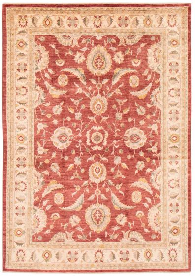 Afghan Chobi Finest 6'6" x 9'3" Hand-knotted Wool Rug 