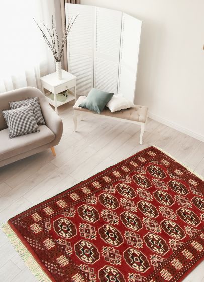 Turkmenistan Turkman 3'5" x 4'8" Hand-knotted Wool Rug 