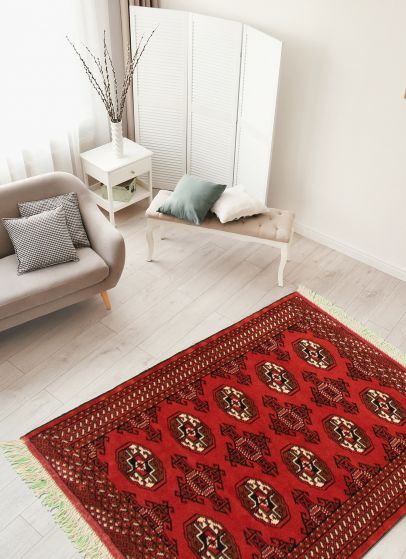 Turkmenistan Turkman 3'3" x 4'7" Hand-knotted Wool Rug 