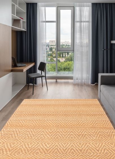 Indian Palas Denizli 5'4" x 7'5" Flat-Weave Jute Kilim 