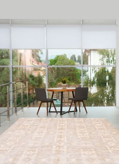 Indian Mystique 9'0" x 12'3" Hand-knotted Wool Rug 