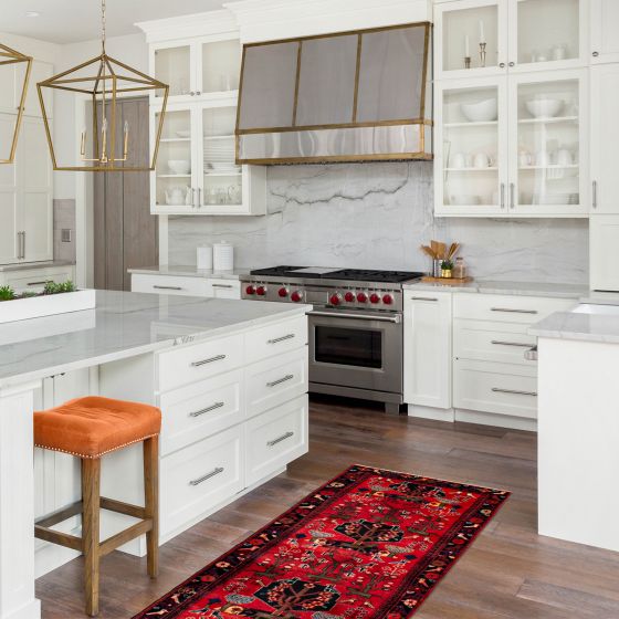 Persian Style 3'5" x 9'9" Hand-knotted Wool Rug 