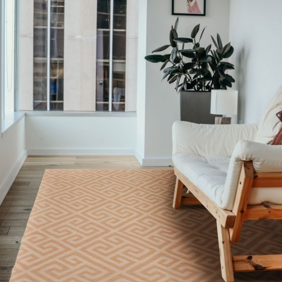 Kilim nevada 4'11" x 7'11" en laine