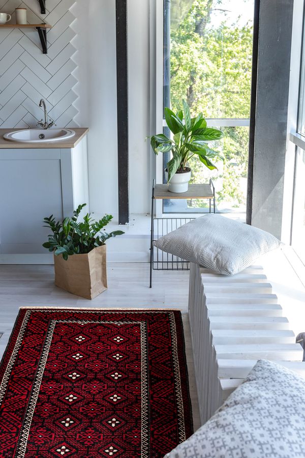 Afghan Teimani 3'11