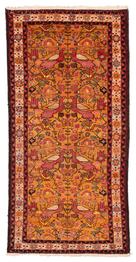 Afghan Teimani 3'1