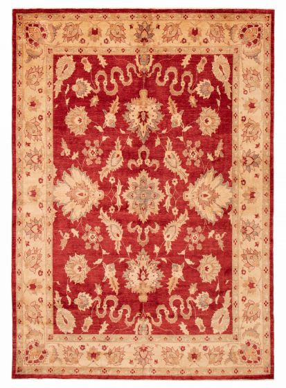 Afghan Chobi Finest 8'5" x 11'9" Hand-knotted Wool Rug 