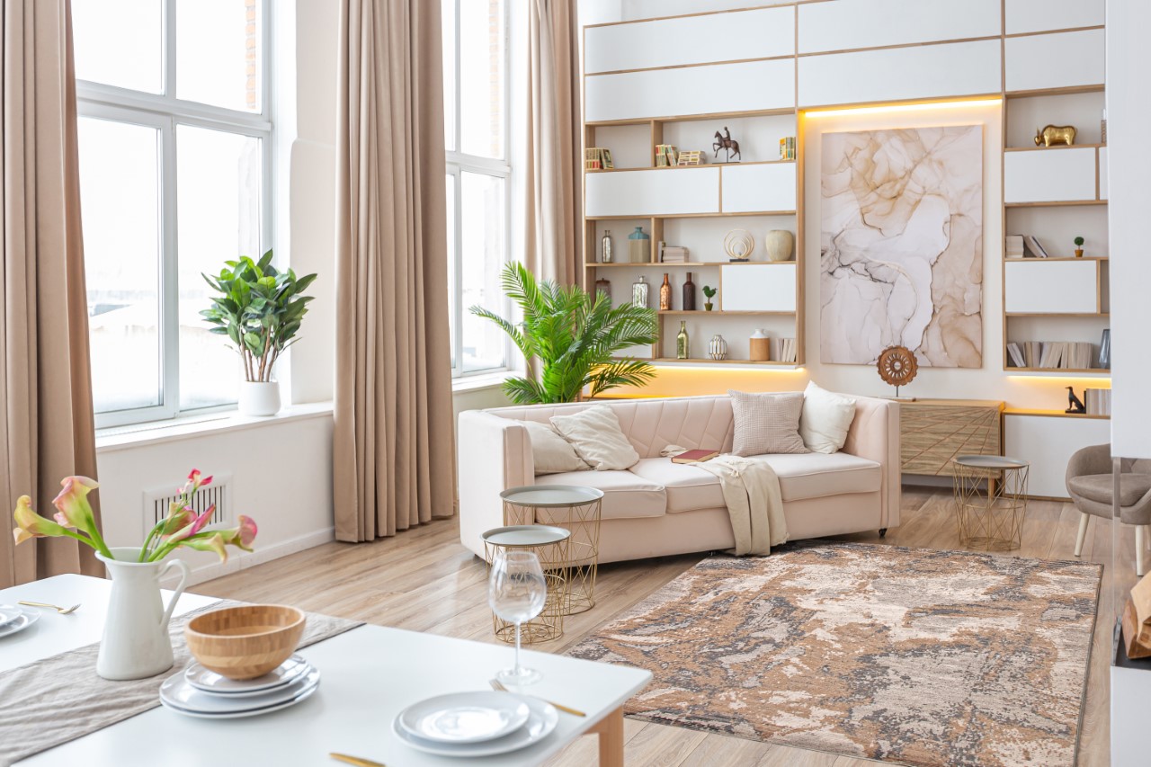 ECARPETGALLERY Modern Alma rug in living room